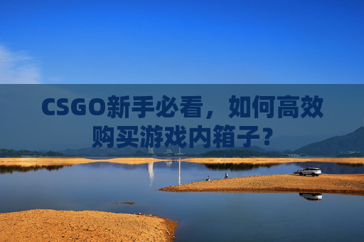 CSGO新手必看,如何高效购买游戏内箱子? CSGO新手必看,如何高效购买游戏内箱子?