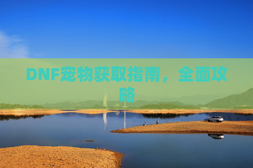 DNF宠物获取指南,全面攻略 DNF宠物获取指南,全面攻略