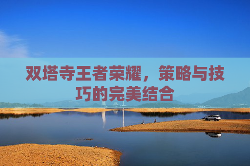双塔寺王者荣耀,策略与技巧的完美结合 双塔寺王者荣耀,策略与技巧的完美结合