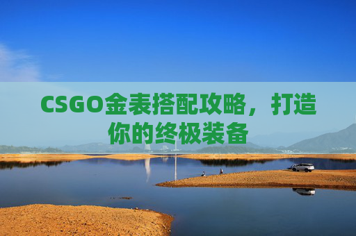CSGO金表搭配攻略,打造你的终极装备 CSGO金表搭配攻略,打造你的终极装备