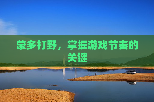蒙多打野,掌握游戏节奏的关键 蒙多打野,掌握游戏节奏的关键