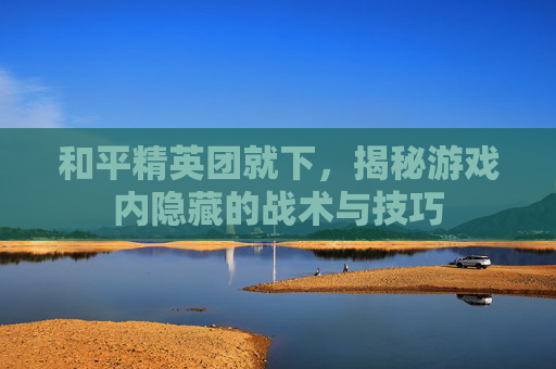 和平精英团就下，揭秘游戏内隐藏的战术与技巧