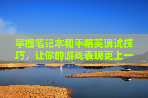 掌握笔记本和平精英调试技巧，让你的游戏表现更上一层楼