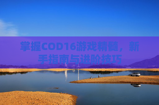 掌握COD16游戏精髓，新手指南与进阶技巧