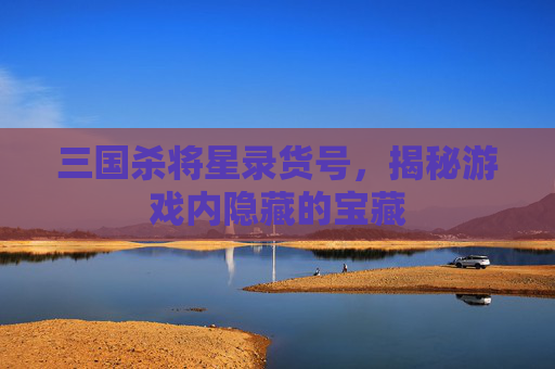三国杀将星录货号，揭秘游戏内隐藏的宝藏