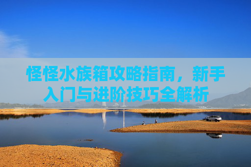 怪怪水族箱攻略指南,新手入门与进阶技巧全解析 怪怪水族箱攻略指南,新手入门与进阶技巧全解析