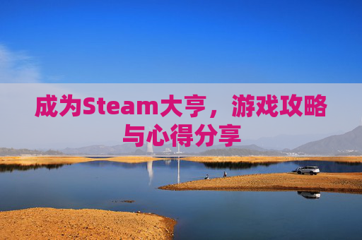 成为Steam大亨，游戏攻略与心得分享