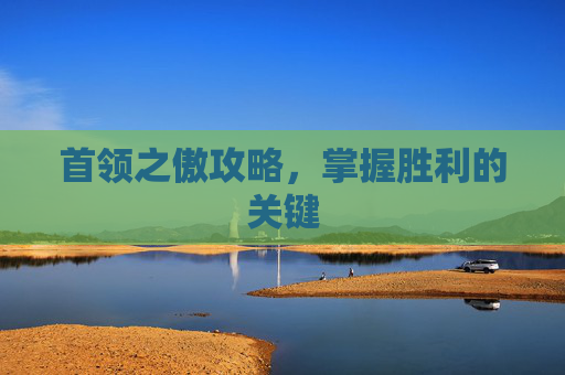 首领之傲攻略,掌握胜利的关键 首领之傲攻略,掌握胜利的关键