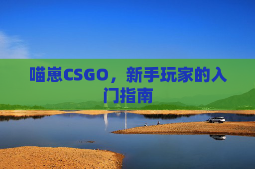 喵崽CSGO，新手玩家的入门指南
