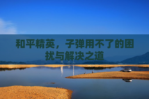 和平精英，子弹用不了的困扰与解决之道