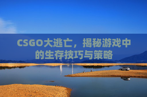 CSGO大逃亡，揭秘游戏中的生存技巧与策略