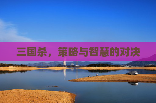 三国杀，策略与智慧的对决