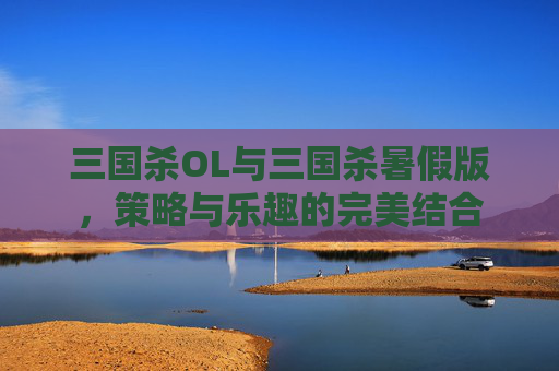 三国杀OL与三国杀暑假版，策略与乐趣的完美结合