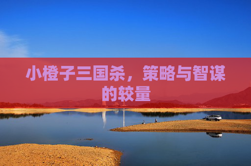小橙子三国杀，策略与智谋的较量