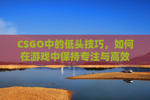 CSGO中的低头技巧，如何在游戏中保持专注与高效