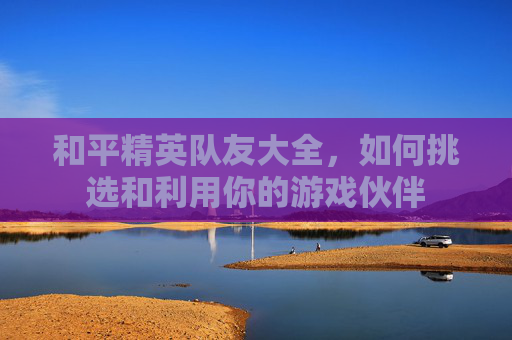 和平精英队友大全，如何挑选和利用你的游戏伙伴