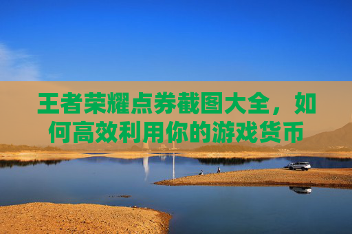 王者荣耀点券截图大全，如何高效利用你的游戏货币