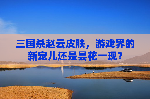 三国杀赵云皮肤，游戏界的新宠儿还是昙花一现？