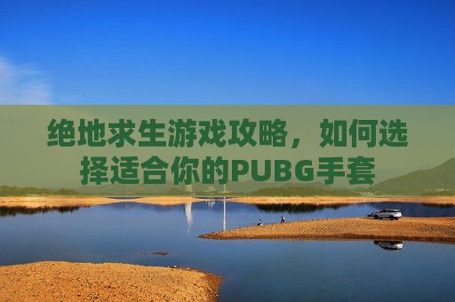 绝地求生游戏攻略，如何选择适合你的PUBG手套