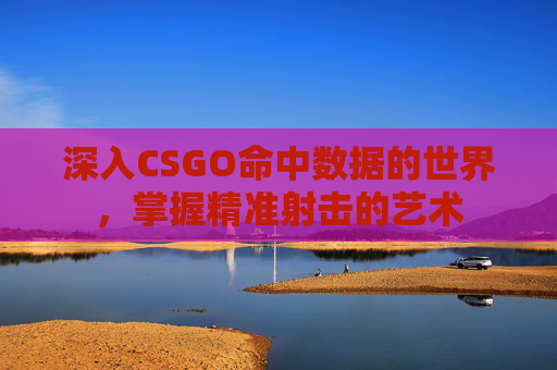深入CSGO命中数据的世界，掌握精准射击的艺术