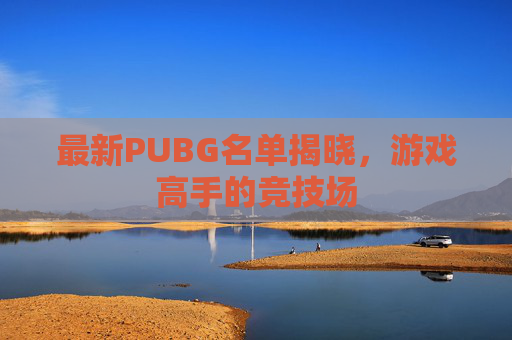 最新PUBG名单揭晓，游戏高手的竞技场