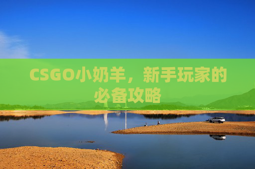 CSGO小奶羊，新手玩家的必备攻略
