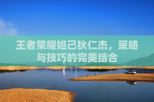 王者荣耀妲己狄仁杰，策略与技巧的完美结合