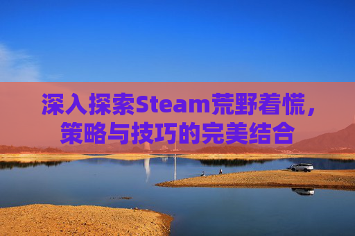 深入探索Steam荒野着慌，策略与技巧的完美结合
