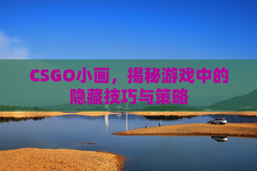 CSGO小画，揭秘游戏中的隐藏技巧与策略
