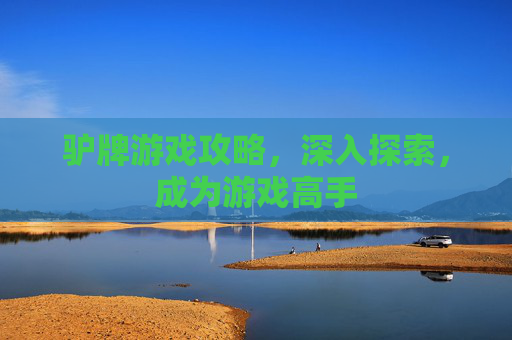 驴牌游戏攻略,深入探索,成为游戏高手 驴牌游戏攻略,深入探索,成为游戏高手