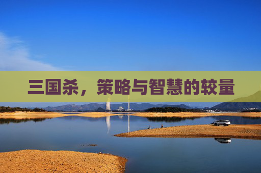三国杀，策略与智慧的较量