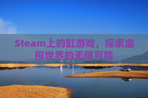 Steam上的缸游戏，探索虚拟世界的无限可能