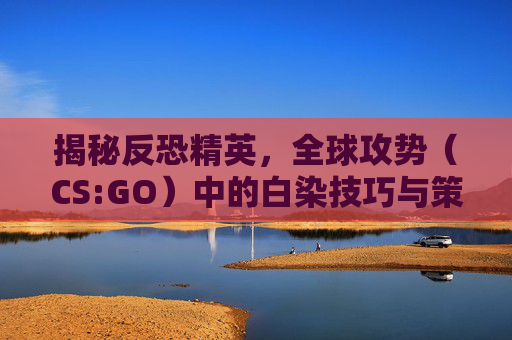 揭秘反恐精英，全球攻势（CS:GO）中的白染技巧与策略
