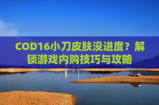 COD16小刀皮肤没进度？解锁游戏内购技巧与攻略
