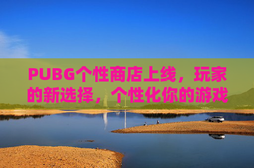 PUBG个性商店上线，玩家的新选择，个性化你的游戏角色