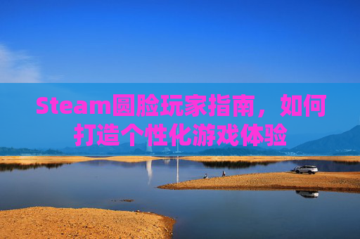 Steam圆脸玩家指南，如何打造个性化游戏体验
