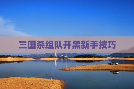 三国杀组队开黑新手技巧