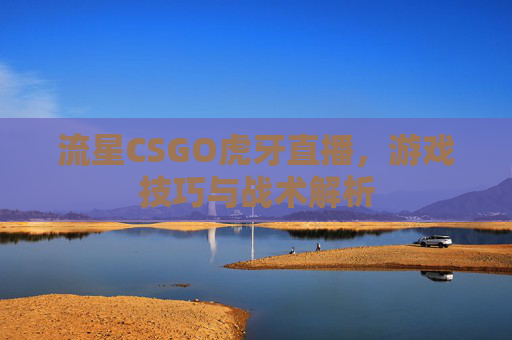 流星CSGO虎牙直播，游戏技巧与战术解析