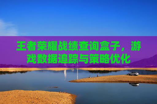 王者荣耀战绩查询盒子，游戏数据追踪与策略优化