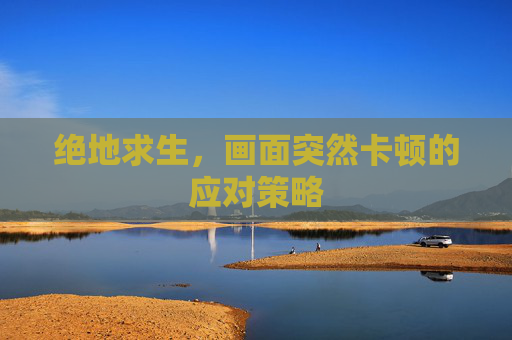绝地求生，画面突然卡顿的应对策略