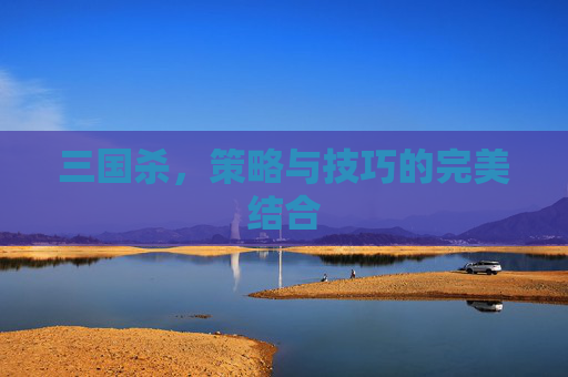 三国杀，策略与技巧的完美结合