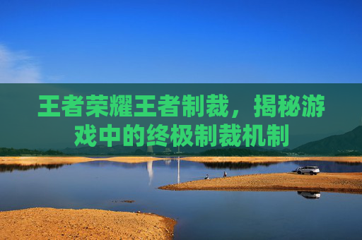 王者荣耀王者制裁，揭秘游戏中的终极制裁机制
