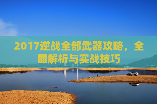 2017逆战全部武器攻略，全面解析与实战技巧