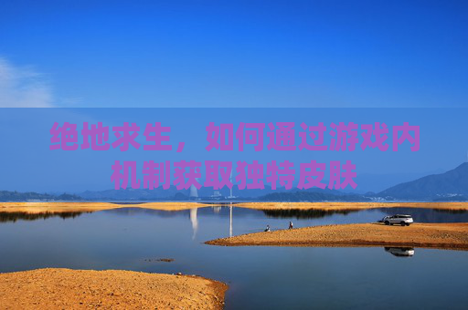 绝地求生，如何通过游戏内机制获取独特皮肤