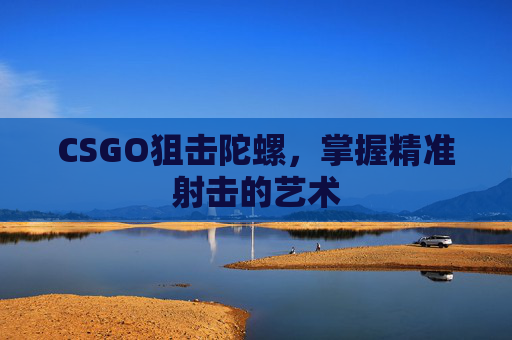 CSGO狙击陀螺，掌握精准射击的艺术