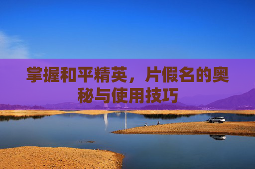 掌握和平精英，片假名的奥秘与使用技巧