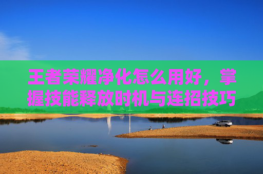 王者荣耀净化怎么用好，掌握技能释放时机与连招技巧