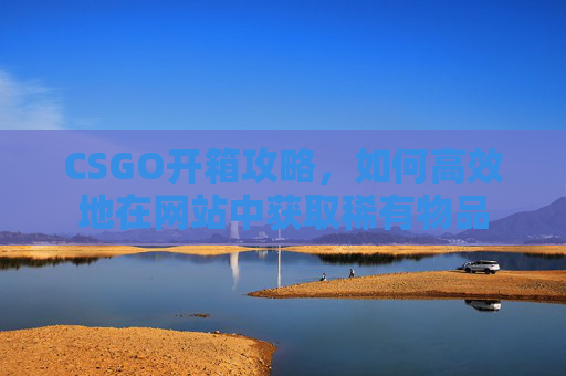 CSGO开箱攻略，如何高效地在网站中获取稀有物品