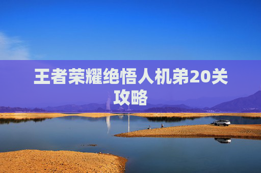 王者荣耀绝悟人机弟20关攻略