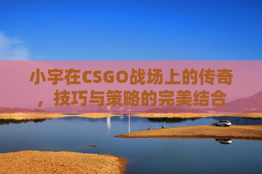 小宇在CSGO战场上的传奇，技巧与策略的完美结合